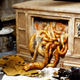 From the set of Videodrome.